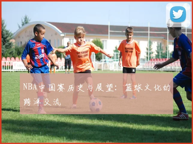 NBA中国赛历史与展望：篮球文化的跨洋交流