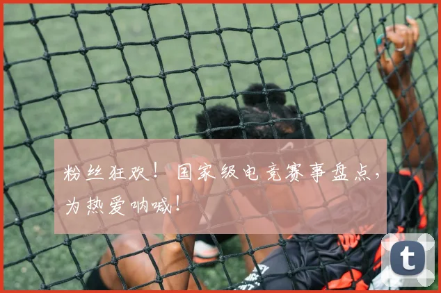 粉丝狂欢！国家级电竞赛事盘点，为热爱呐喊！